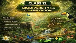 CBSE Class 12 || Biology || Biodiversity and Conservation || Animation || in English