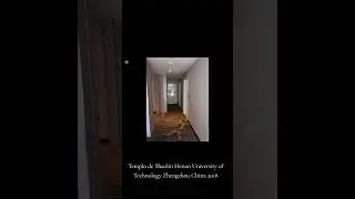 Templo de Shaolin Henan University of Technology Zhengzhou China 2018