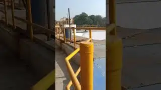 Stp  process