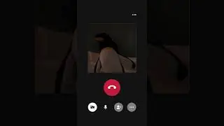 Pingu the penguin calling