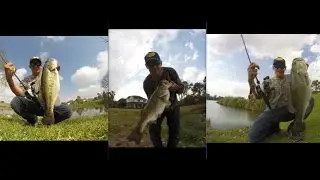 caught three 5lbers