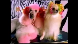 TELETOON Commercials & Bumpers - 2000 (March 11th-25th) Y2K