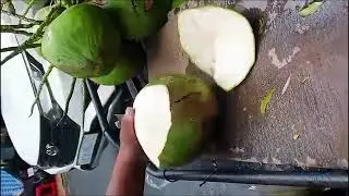 Coconut Cutting Techniques: Which is the Best?