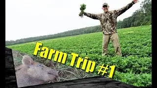 FarmTrip #1: Wild Boar Hunting, Food Plots, Deer Stands, & Peanuts