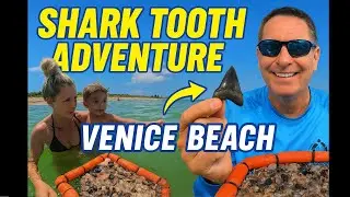 Shark Tooth Hunt 🦈 Caspersen Beach | Florida&rsquo;s Fossil Treasure