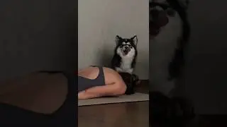 У кого также проходят тренировки дома?😁
