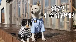 경찰과 도둑