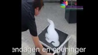 Foam Visuals - Flying helium foam clouds