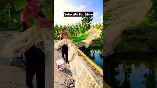 Huge Cast Net Throw | #NetCasting #BigNetBigCatch #FishingTechnique #FishHunter #CastNetSkills