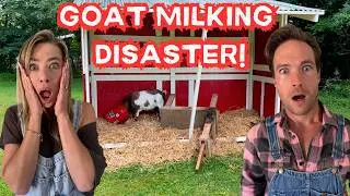 First Time Milking Goats (EPIC FAIL!!) - Episode 33