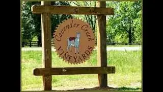 Cavender Creek Vineyards