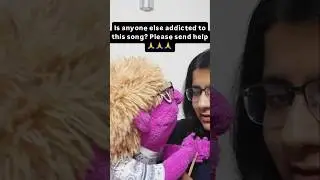 Milo is addicted! Please send help!! #dhurandhar #puppet #ventriloquist #purple #funny