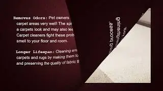Rug Cleaning in Mississauga &ndash; Combating Dust & Dander&nbsp;Allergies