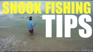 Snook Fishing Tip Live Bait Pilchard