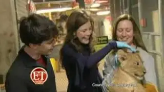 Skandar Keynes and Georgie Henley at the Smithsonian Zoo