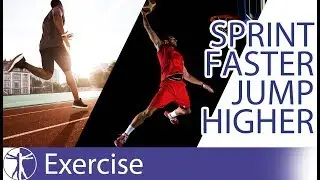 Improve Jumping & Sprinting Performance | Front Squat vs. Hip Thrust