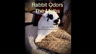 Rabbit Odors ~ The Myths (Jana Brock&rsquo;s Bunny Talks)