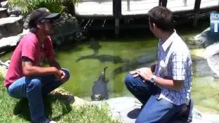Acuariotv en aventura amazonas iquique chile