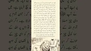 Hazrat Ibn Umar (RA) Faced a Lion Without Fear | True Story of Faith and Courage #shorts