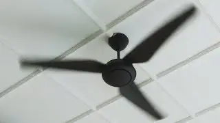 MT. EDMA Best B3 ceiling fans