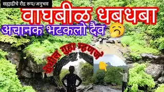 Waghbil waterfall | वाघबीळ धबधबा बदलापूर | Monsoon 2024 | Jungle Trek