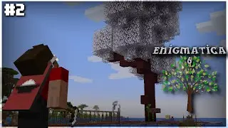 THE SACRED TREE... | Enigmatica 6 Modpack #2