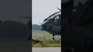 Dog jumps from Helicopter to take down a suspect #melsbroek #demo #belgianpolice #opendoor