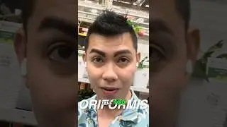 Приглашение в магазин растений в лучшем месте