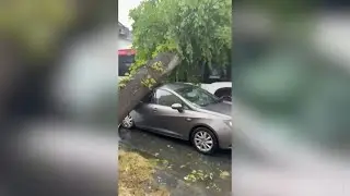'Tornado' in western Germany injures 30 | AFP