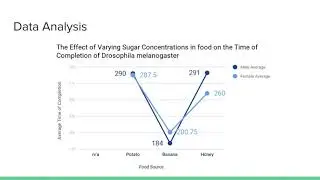 Fruit Fly Behavior Presentation