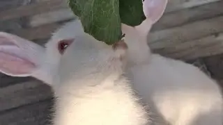 Funboat is live 🐇🌴☘️&hearts;️ Welcome back to my live...&hearts;️🌷🙏