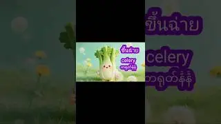 Thai Vegetables for Beginners (Kawaii Baby Style!)&rdquo;