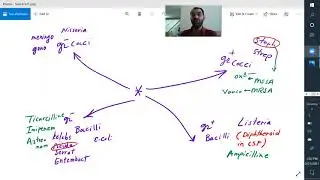 How to learn for MCCQE1 step1 CK  Tips strategies best course Antibiotics  Star www.mededucanada.com