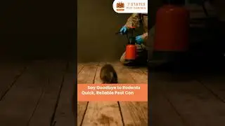 Rodent Trouble? Get Professional Pest Control in Melbourne Today!