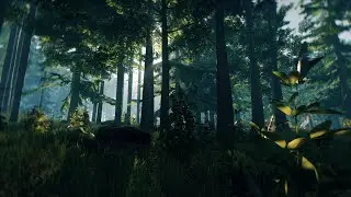 1 СЕРИЯ ПО THE FOREST