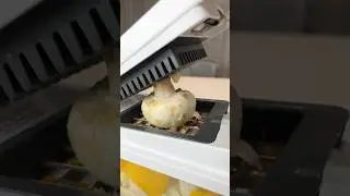 My go-to air fryer veggies when I need something quick and satisfying