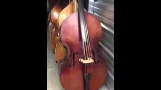 Bass Monkey upright basses for sale
