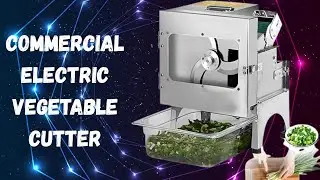 Best Commercial Onion & Vegetable Slicer Dual Motor Review | Generic
