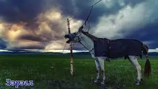 Балдоржийн саарал халзан \ Baldorjiin saaral halzan \ Дуучин М.Бямбадорж.