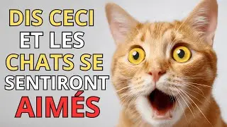 7 mots simples pour que ton chat se sente aim&eacute; instantan&eacute;ment