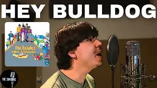 Hey Bulldog - The Beatles (Cover)