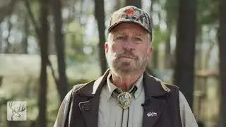 Ask Dr  Deer | What Do Deer ACTUALLY Like to Eat?