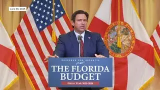 DeSantis&rsquo; next moves could shape Florida&rsquo;s political future