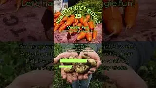 Veggie Fun: Let's have some veggie fun!