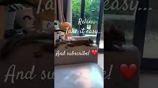 Relax, take it easy and subscribe to The Brave Squirrel channel! ❤️ 🐿  #squirrel #subscribe #relax