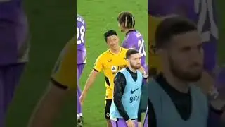 Korean Reunion at EPL#son#hwang#tottenham#wolves