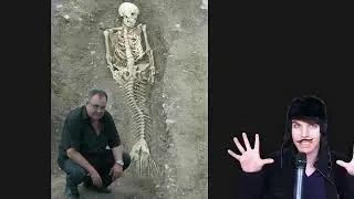 Are Mermaids Real (OnisionSpeaks Reupload)