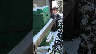 Kontrollgang 10.01.26 Flugloch noch frei? Schnee und - 6 Grad #imkern #bienen #bee #beekeeping
