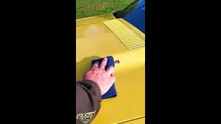 1974 Chevrolet Corvette For Sale | Volo Museum Auto Sales (V22029)
