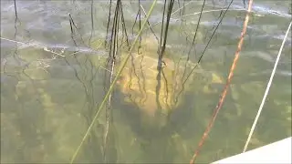 Are There Ancient Ruins In The Waters Of Lake Titicaca In Bolivia?